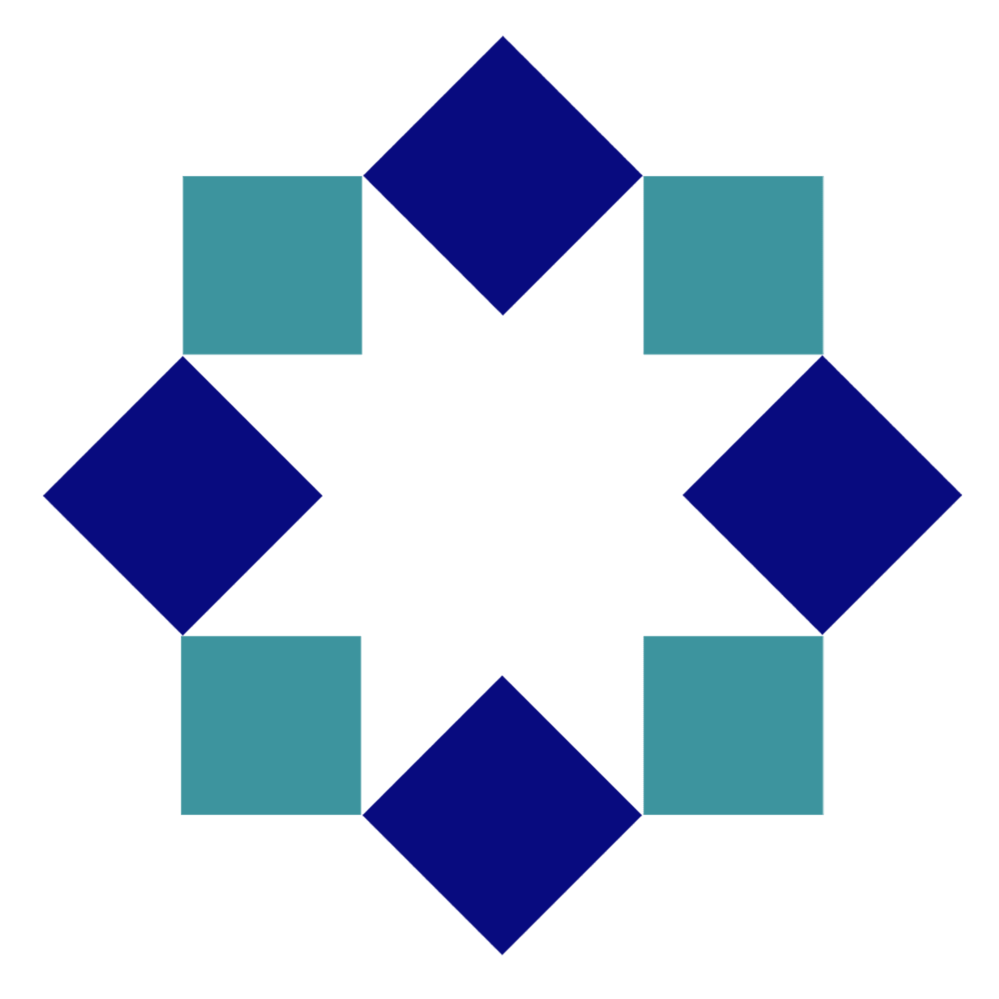 The An-Nisa Society's symbol
